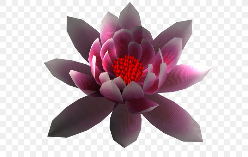 Petal Flower Garden Roses Clip Art, PNG, 600x520px, Petal, Animation, Bellflowers, Blume, Flower Download Free