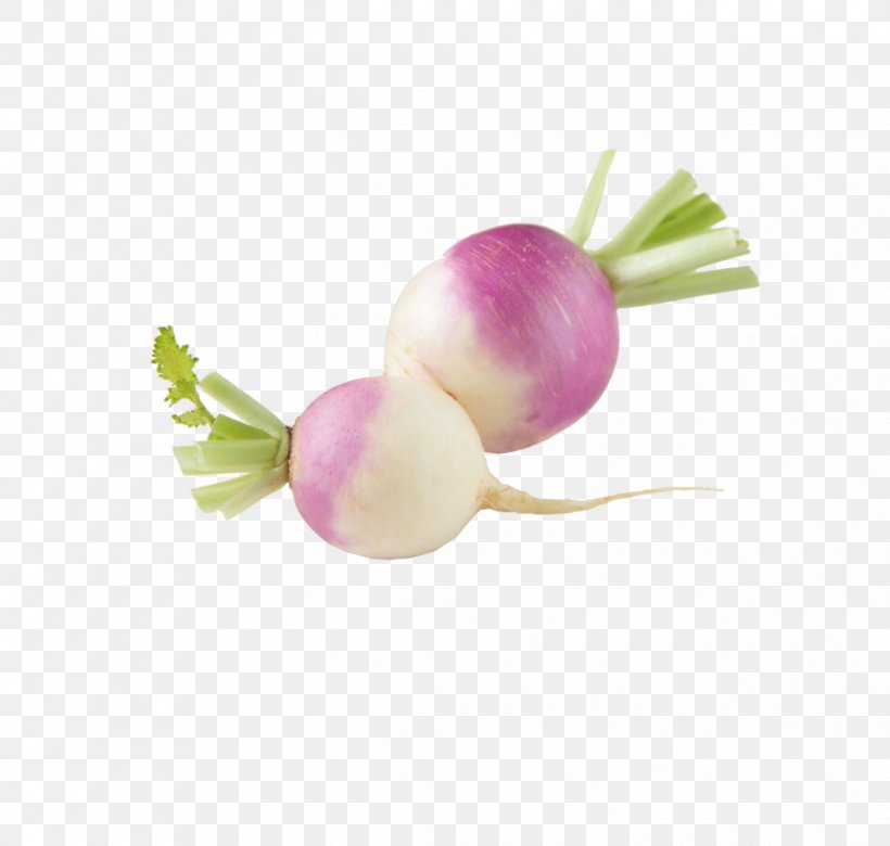 Turnip Vegetable Radish Collard Greens Eating, PNG, 1240x1181px, Turnip, Carrot, Collard Greens, Dietary Fiber, Eating Download Free