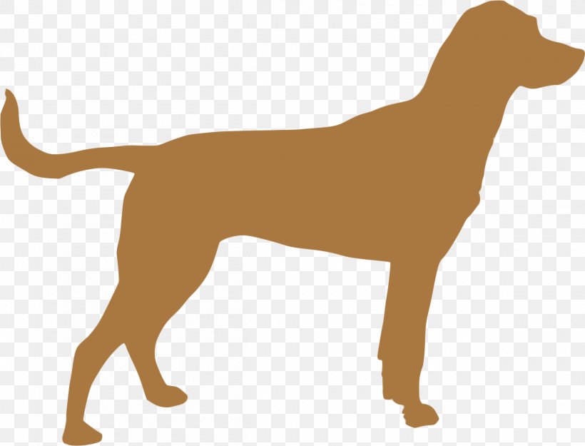 Vizsla Puppy Silhouette Clip Art, PNG, 2400x1830px, Vizsla, Carnivoran, Companion Dog, Dog, Dog Breed Download Free
