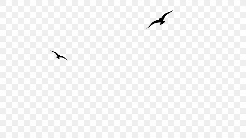 Beak Bird Migration Crane Font, PNG, 1920x1080px, Beak, Animal Migration, Bird, Bird Migration, Black Download Free