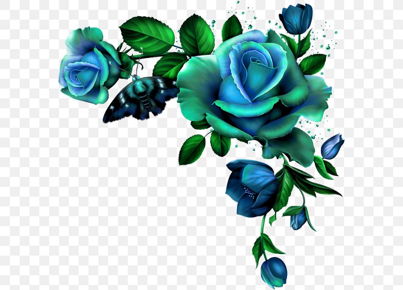 Blue Rose Clip Art Blue Flower, PNG, 585x590px, Blue Rose, Blue, Blue Flower, Borders And Frames, Cut Flowers Download Free