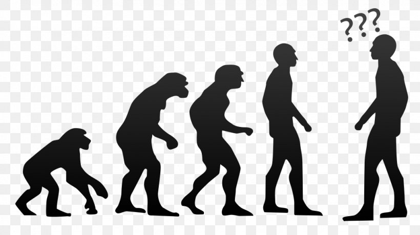Human Evolution Evolutionary Biology Evolutionary Psychology, PNG, 1024x574px, Evolution, Adaptation, Biodiversity, Biogeography, Biology Download Free
