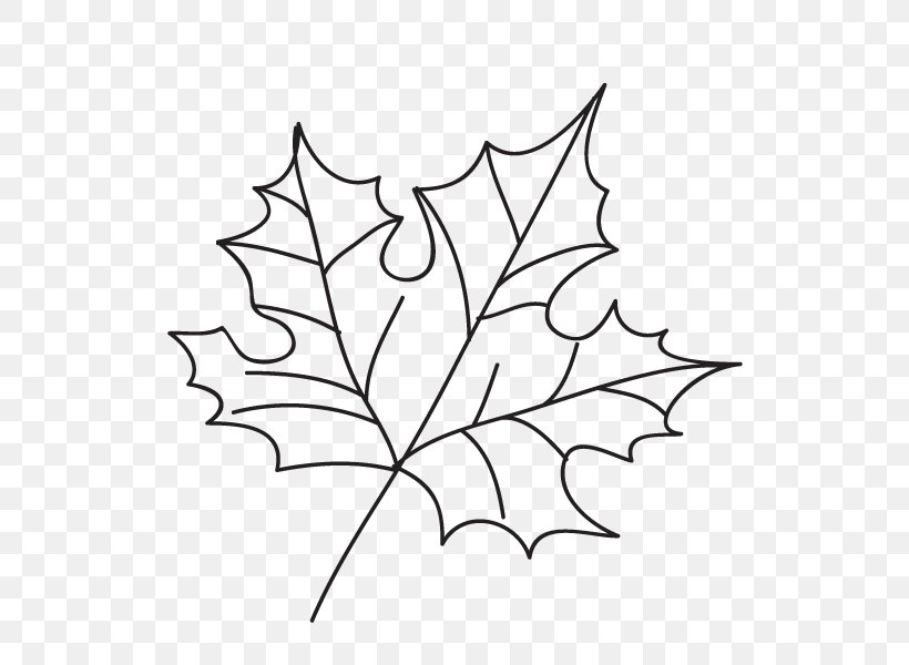Maple Leaf Tattoo EasyTatt Line Art, PNG, 585x600px, Maple Leaf, Artwork, Black And White, Branch, Easytatt Download Free
