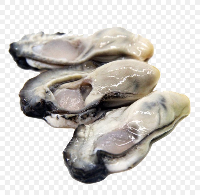 Oyster Seafood Clam Mussel Meat, PNG, 800x800px, Oyster, Animal Source Foods, Clam, Clams Oysters Mussels And Scallops, Food Download Free