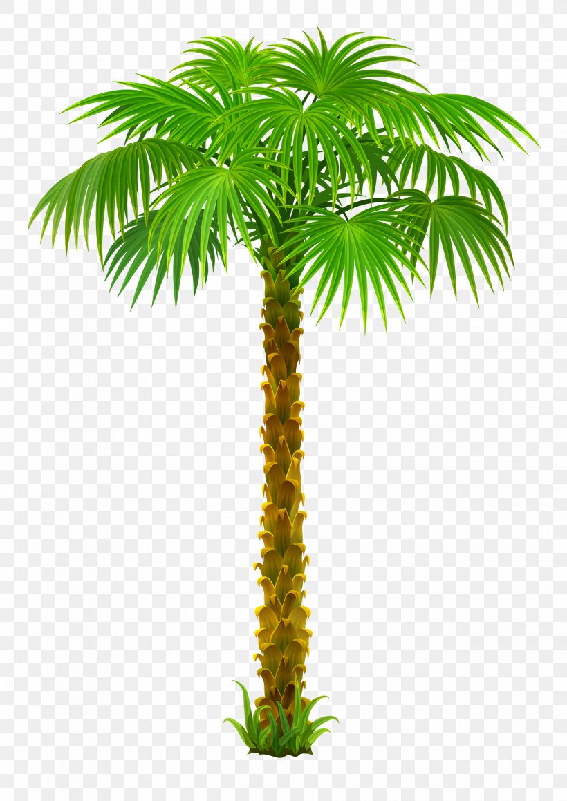 Arecaceae Tree Clip Art, PNG, 2480x3508px, Arecaceae, Arecales, Borassus Flabellifer, Coconut, Computer Graphics Download Free