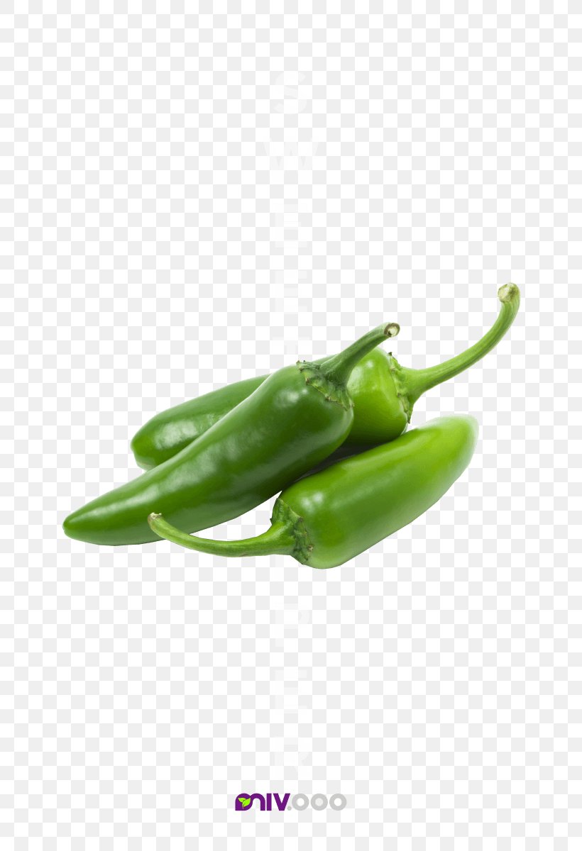 Chili Con Carne Stuffing Jalapeño Bell Pepper Chili Pepper, PNG, 728x1200px, Chili Con Carne, Bell Pepper, Bell Peppers And Chili Peppers, Capsicum, Capsicum Annuum Download Free