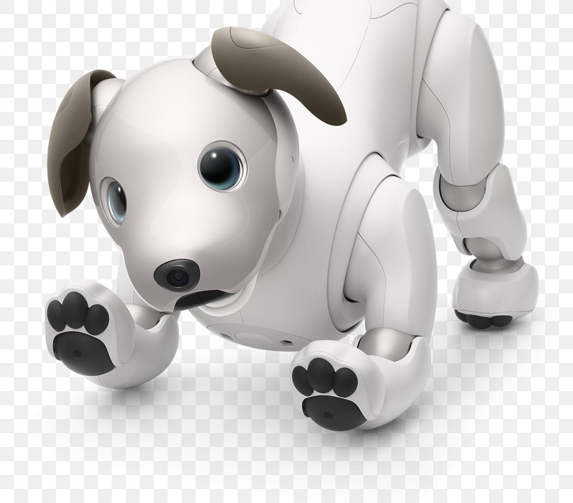 autonomous dog toy