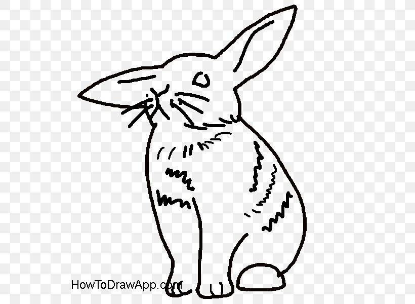 Domestic Rabbit Hare Whiskers Drawing, PNG, 600x600px, Domestic Rabbit, Black And White, Cat, Cat Like Mammal, Drawing Download Free