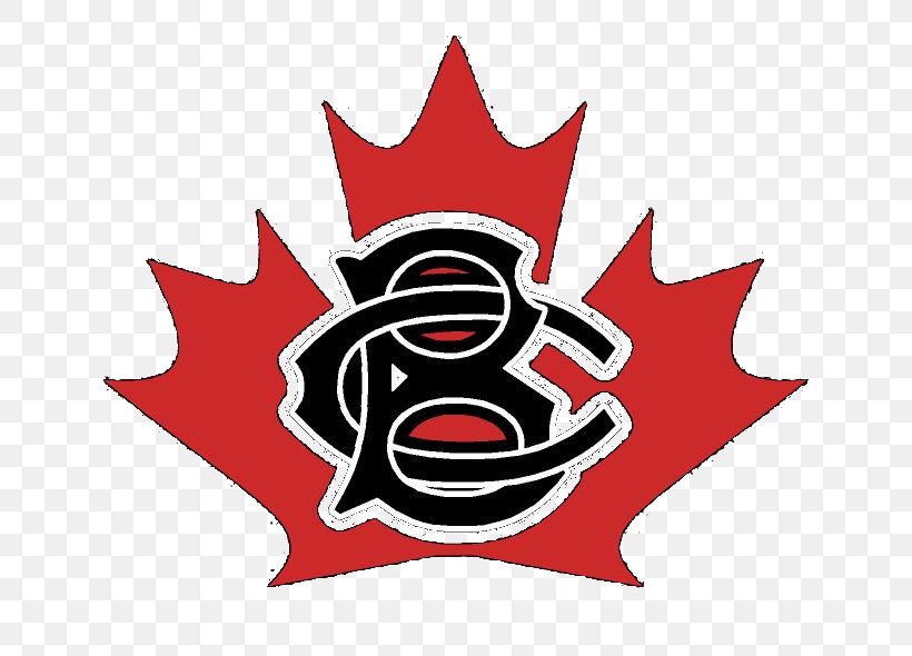 Flag Of Canada Black Ribbon Flag Of Toronto, PNG, 662x590px, Canada, Black Ribbon, Flag, Flag Of Alberta, Flag Of British Columbia Download Free
