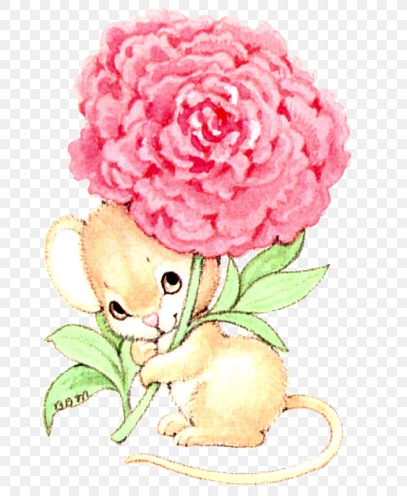 Garden Roses Cabbage Rose Floral Design Cut Flowers Carnation, PNG, 800x1000px, Garden Roses, Cabbage Rose, Carnation, Cut Flowers, Floral Design Download Free