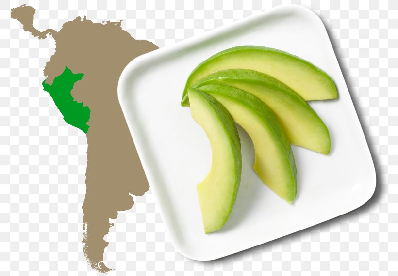 Latin America South America United States World Map, PNG, 788x570px, Latin America, Americas, Avocado, Blank Map, Diet Food Download Free