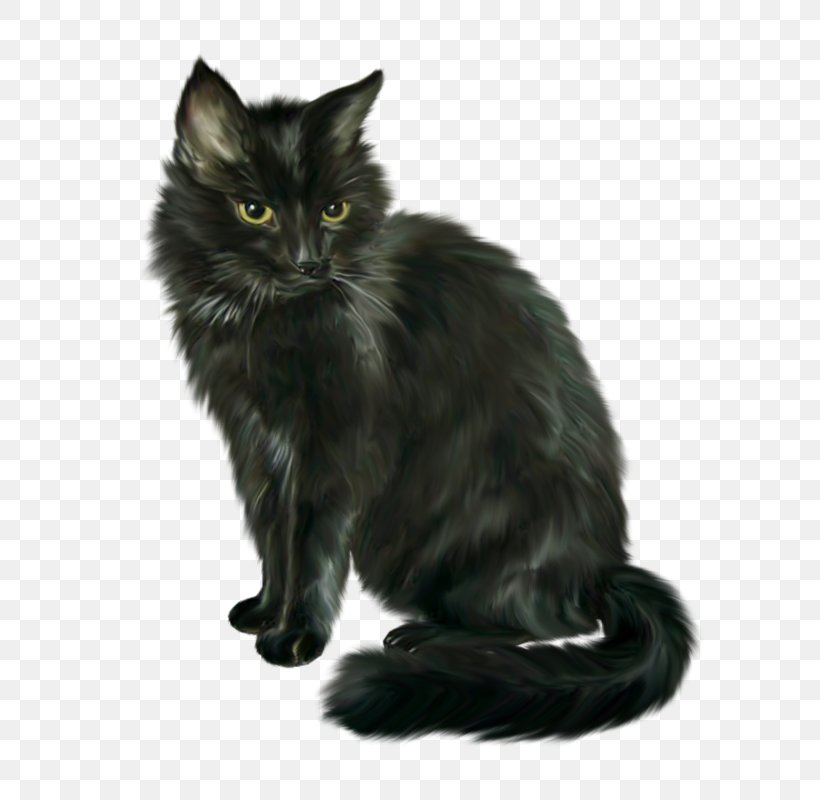 Siamese Cat Black Cat Halloween Clip Art, PNG, 599x800px, Siamese Cat, Animal, Asian Semi Longhair, Black Cat, Carnivoran Download Free