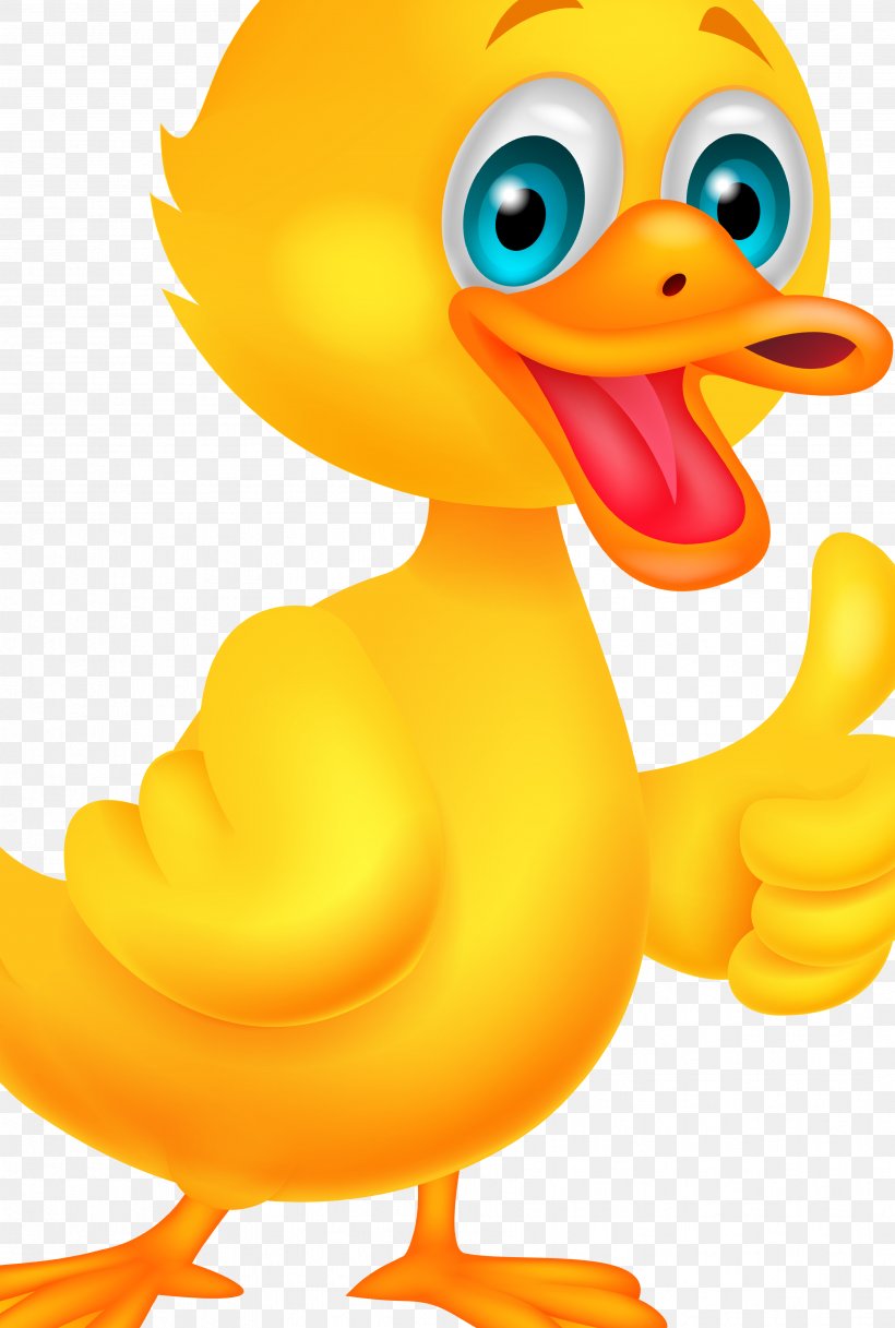 Duck Goose Cygnini Clip Art Beak, PNG, 3507x5208px, Duck, Beak, Bird, Cartoon, Cygnini Download Free
