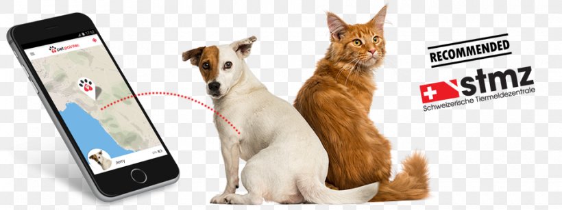Stock Photography Dog Maine Coon Royalty-free, PNG, 960x360px, Stock Photography, Animal Figure, Carnivoran, Cat, Catdog Download Free