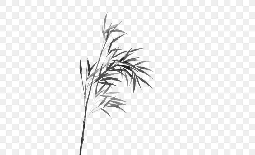 Bamboo Watercolor Painting Line Art Ink Wash Painting, PNG, 562x500px, Bamboo, Black And White, Branch, Designer, Drawing Download Free
