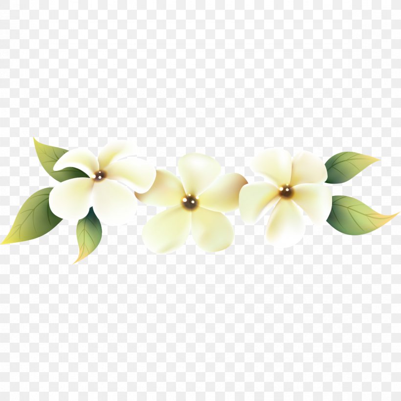 Cut Flowers Vector Graphics Design Moth Orchids, PNG, 1181x1181px, Flower, Blossom, Cut Flowers, Dendrobium, Flower Bouquet Download Free