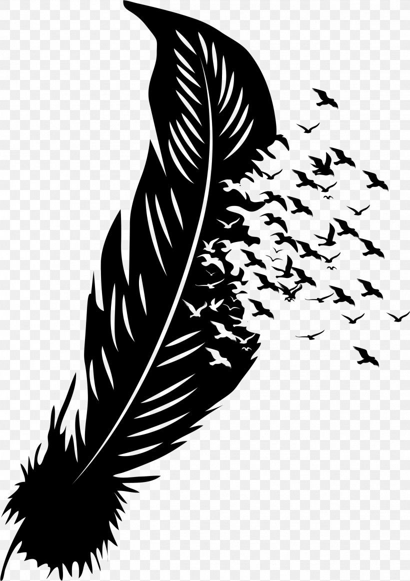 Feather, PNG, 2519x3572px, Feather Boa, Black And White, Feather, Quill, Silhouette Download Free