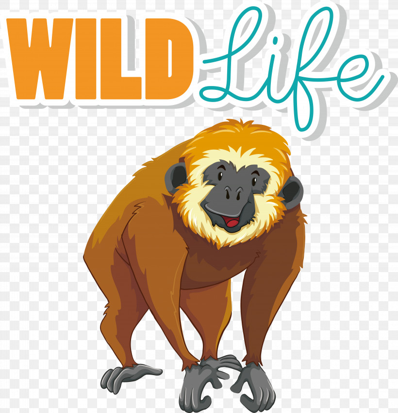 Gibbon Vector Drawing, PNG, 5869x6087px, Gibbon, Drawing, Vector Download Free