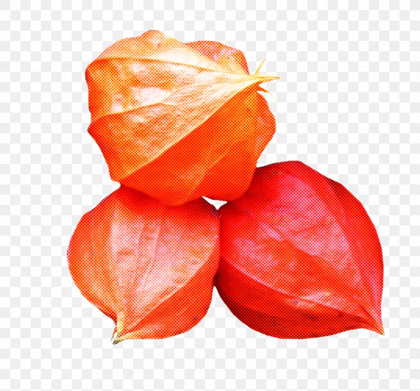 Orange, PNG, 1247x1161px, Orange, Flower, Food, Fruit, Leaf Download Free