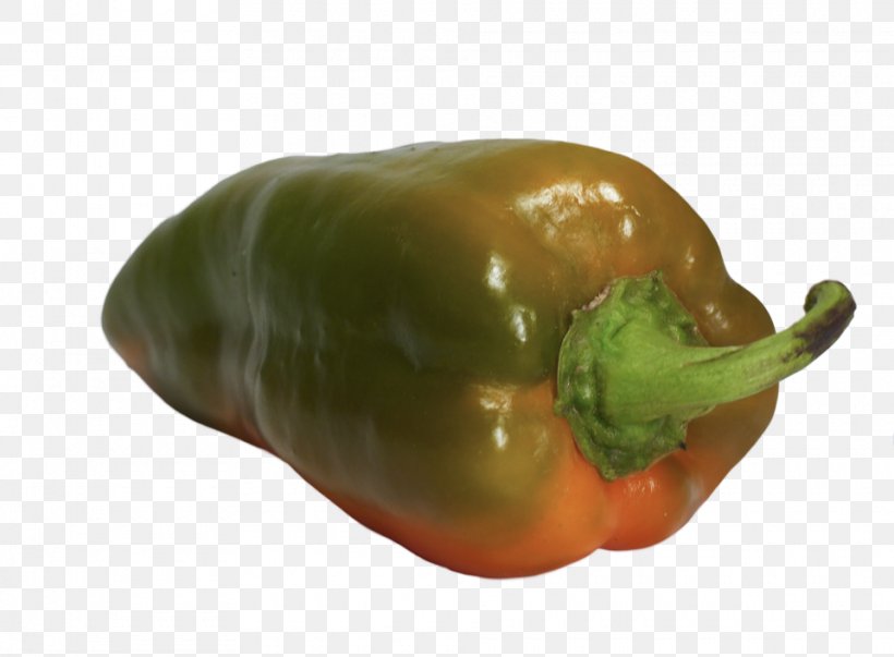 Bell Pepper Serrano Pepper Poblano Italian Cuisine Chili Pepper, PNG, 960x707px, Bell Pepper, Bell Peppers And Chili Peppers, Capsicum, Capsicum Annuum, Chili Pepper Download Free
