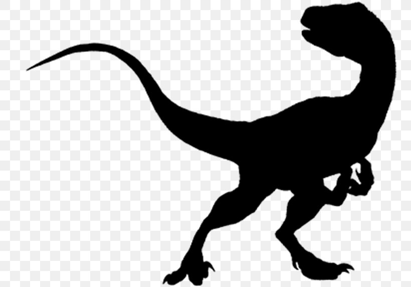 Jurassic Park Velociraptor Dinosaur Tyrannosaurus Amino: Communities And Chats, PNG, 800x572px, Jurassic Park, Albertosaurus, Amino Communities And Chats, Animal Figure, Blackandwhite Download Free