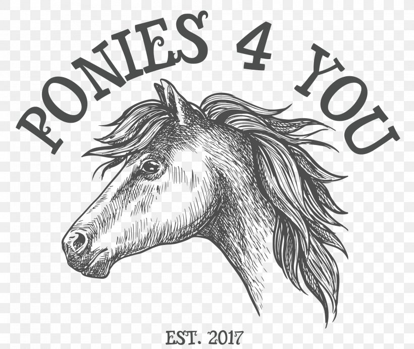 Mane Mustang Donkey Sketch Pack Animal, PNG, 2010x1694px, Mane, Artwork, Black, Black And White, Cartoon Download Free