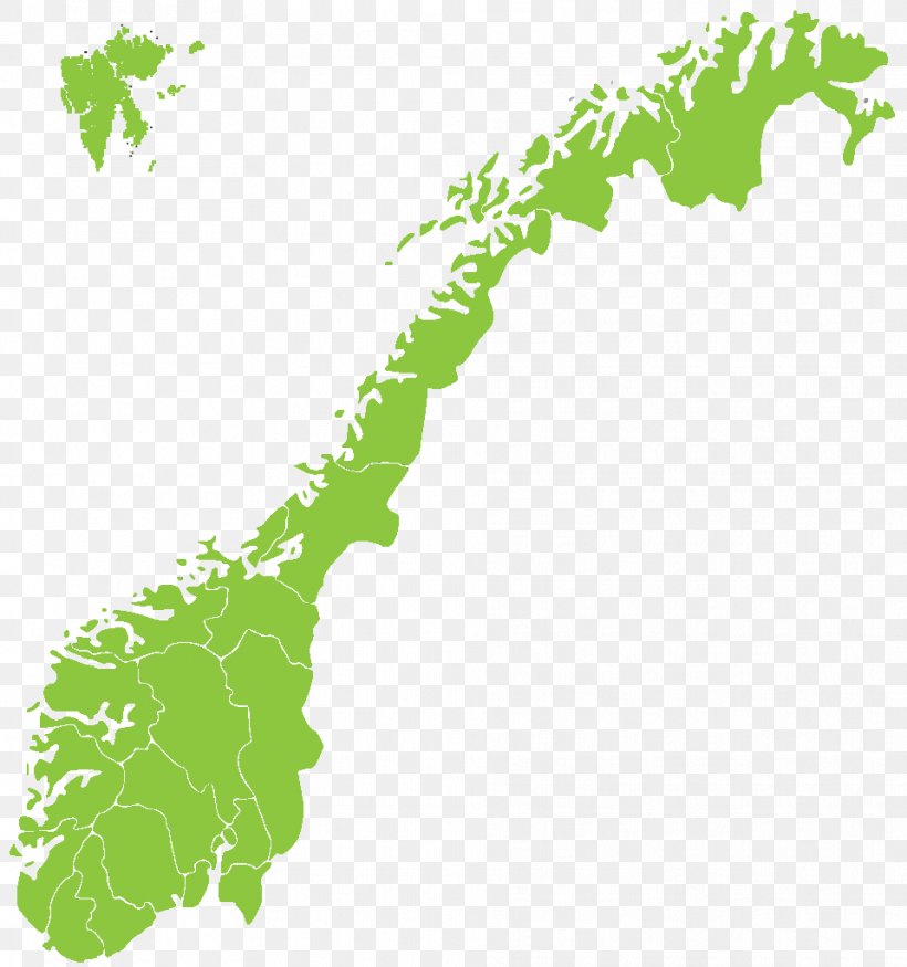County Hordaland Telemark Og Vestfold Rogaland Møre Og Romsdal, PNG, 959x1024px, County, Area, Branch, Grass, Green Download Free