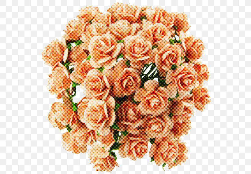 Garden Roses, PNG, 570x570px, Flower, Artificial Flower, Bouquet, Cut Flowers, Floribunda Download Free
