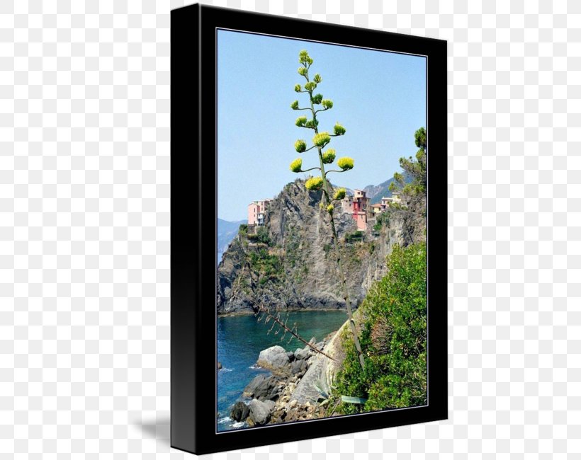 Picture Frames Tree Sky Plc, PNG, 457x650px, Picture Frames, Flora, Flower, Picture Frame, Plant Download Free