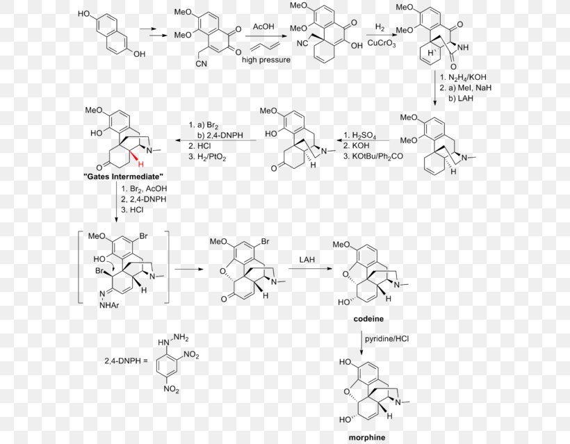 Total Synthesis Of Morphine And Related Alkaloids Chemistry Pale Blue Dot, PNG, 600x639px, Total Synthesis, Alkaloid, Area, Auto Part, Black And White Download Free