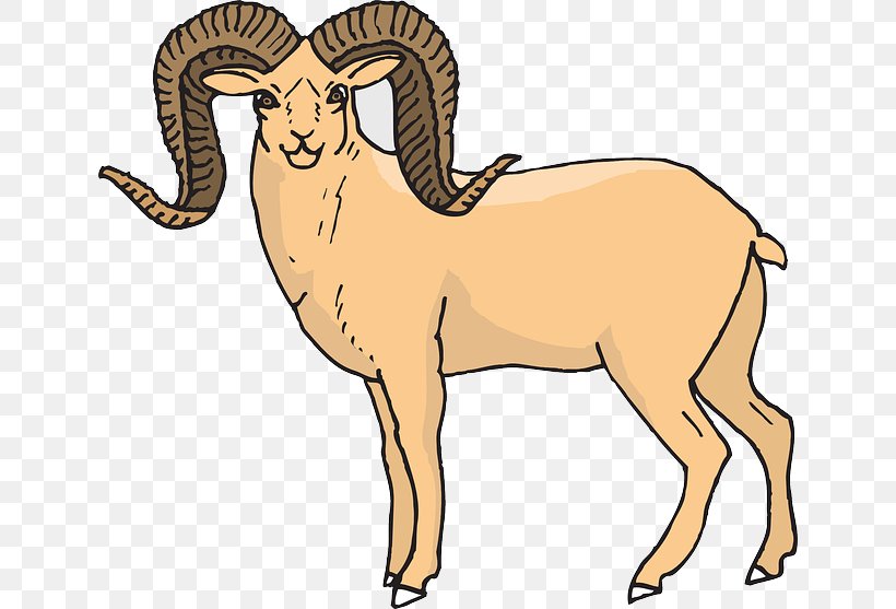 Bighorn Sheep Bighorn River Dall Sheep Clip Art, PNG, 640x557px, Sheep, Animal Figure, Argali, Barbary Sheep, Bighorn River Download Free