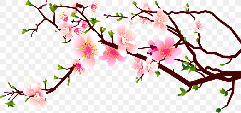 Cherry Blossom Peach Clip Art, PNG, 1200x566px, Blossom, Branch, Cherry Blossom, Drawing, Flora Download Free