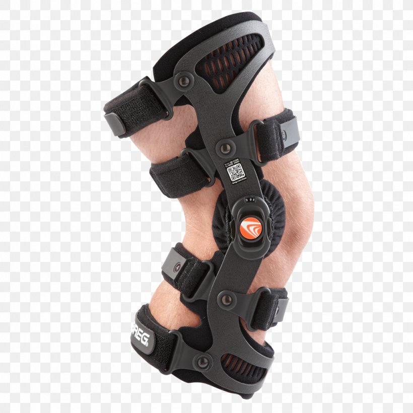 Knee Arthritis Knee Osteoarthritis, PNG, 1024x1024px, Knee Arthritis, Anterior Cruciate Ligament, Arm, Arthritis, Breg Inc Download Free