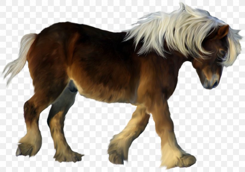 American Miniature Horse My Little Pony Icon, PNG, 1500x1057px, American Miniature Horse, Animal, Colt, Foal, Fur Download Free