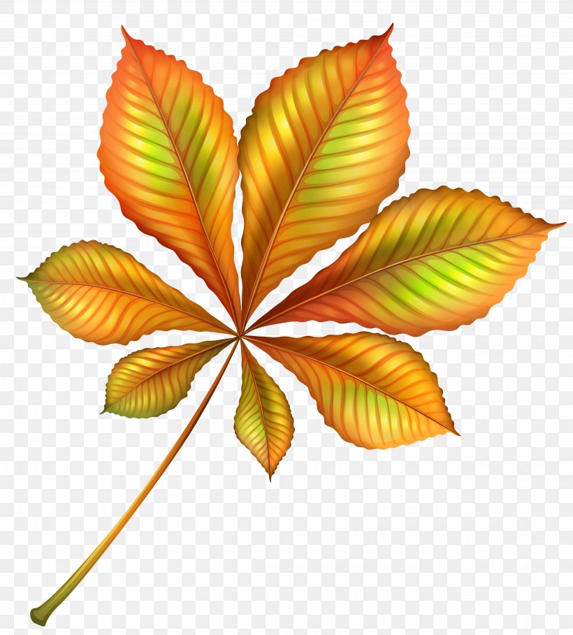 Beautiful Autumn Orange Leaf Clipart Image, PNG, 4647x5154px, Leaf, Autumn, Autumn Leaf Color, Color, Drawing Download Free