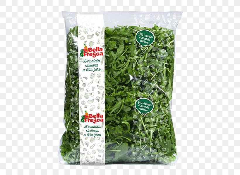 Leaf Vegetable Herb, PNG, 600x600px, Leaf Vegetable, Grass, Herb, Ingredient, Vegetable Download Free