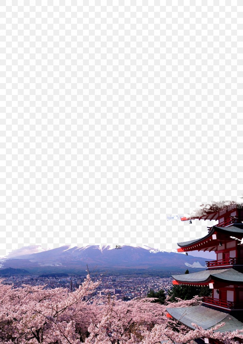 Mount Fuji Tokyo Osaka U014cwakudani Matsumoto, PNG, 842x1191px, Mount Fuji, Blue, Ceiling, Cherry Blossom, Hakone Download Free