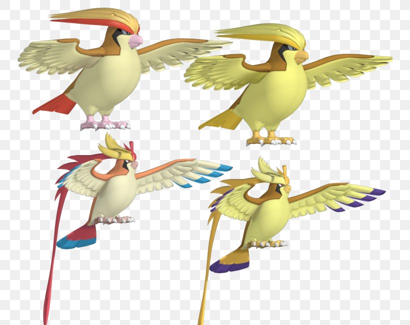 Pokémon X And Y Pidgeotto Image, PNG, 750x650px, Pidgeot, Beak, Bird, Blastoise, Butterfree Download Free