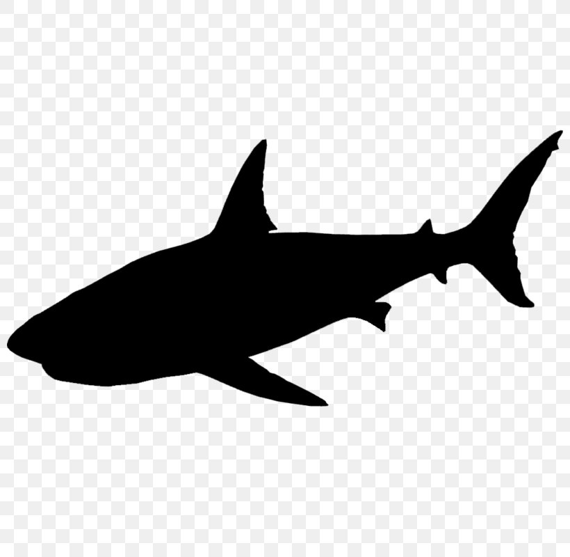 Requiem Sharks Clip Art Fauna Silhouette, PNG, 800x800px, Requiem Sharks, Animal Figure, Bull Shark, Carcharhiniformes, Cartilaginous Fish Download Free