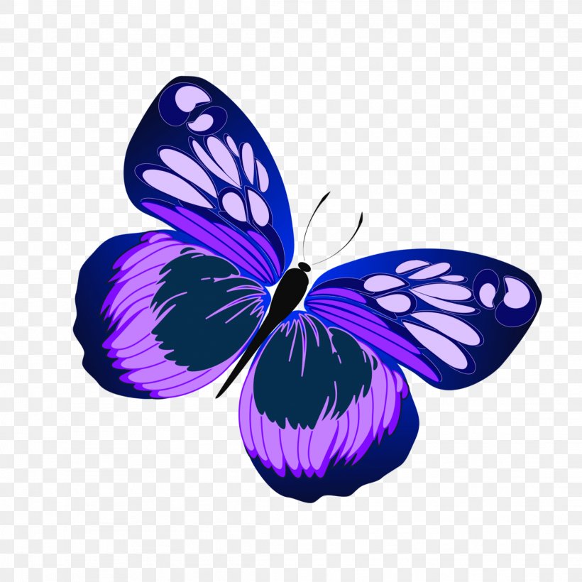 Clip Art Image Butterflies Free Content, PNG, 2289x2289px, Butterflies, Arthropod, Brush Footed Butterfly, Butterfly, Butterfly Butterfly Download Free