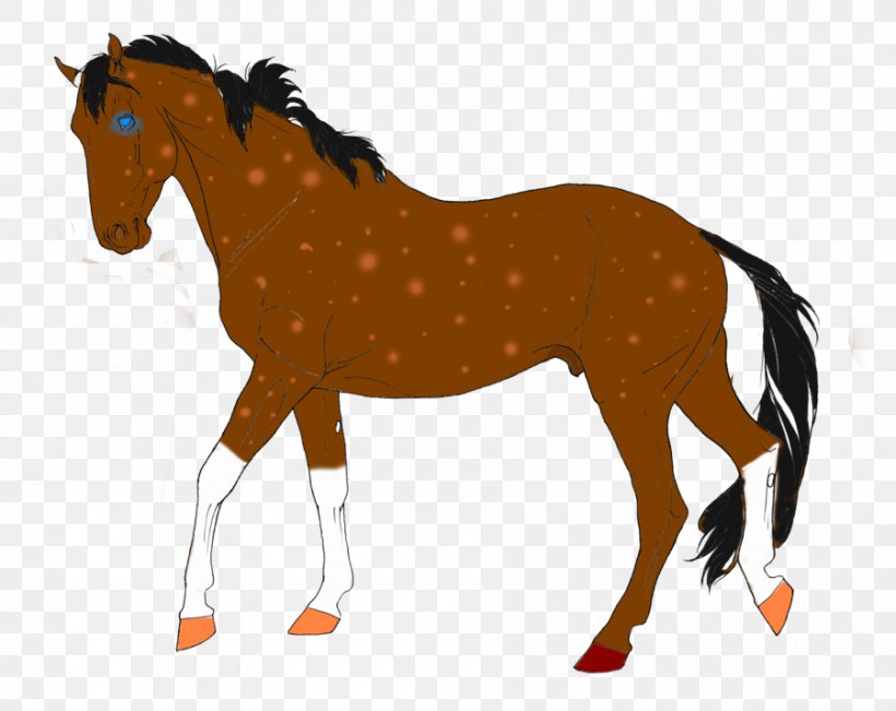 Horse Colt Stallion Mare Pony, PNG, 900x715px, Horse, Animal Figure, Bridle, Colt, Drawing Download Free