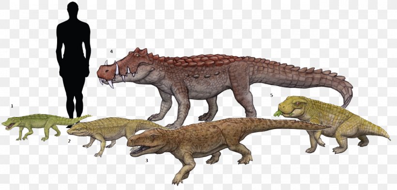 Tyrannosaurus Simosuchus Anatosuchus Notosuchus Kaprosuchus, PNG, 1280x614px, Tyrannosaurus, Animal Figure, Carnivoran, Crocodylomorpha, Dinosaur Download Free