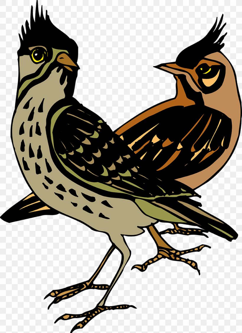 Feather Beak Wing Clip Art, PNG, 874x1200px, Feather, Beak, Bird, Cuckoos, Cuculiformes Download Free