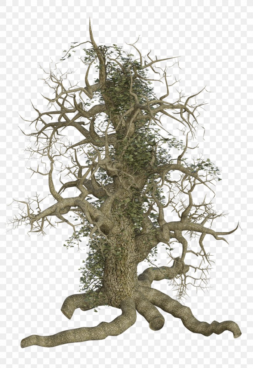 Twig Tree Stump Trunk, PNG, 880x1280px, Twig, Bild, Bonsai, Branch, Houseplant Download Free