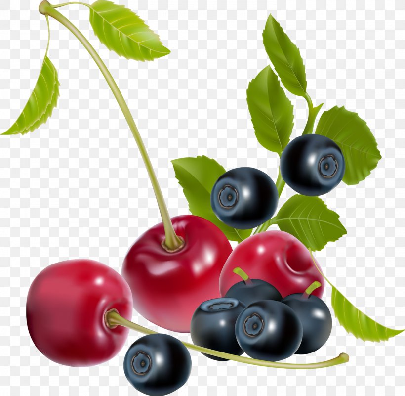 Vector Graphics Illustration Royalty-free Berries Cherries, PNG, 1500x1466px, Royaltyfree, Berries, Berry, Bilberry, Blueberry Download Free