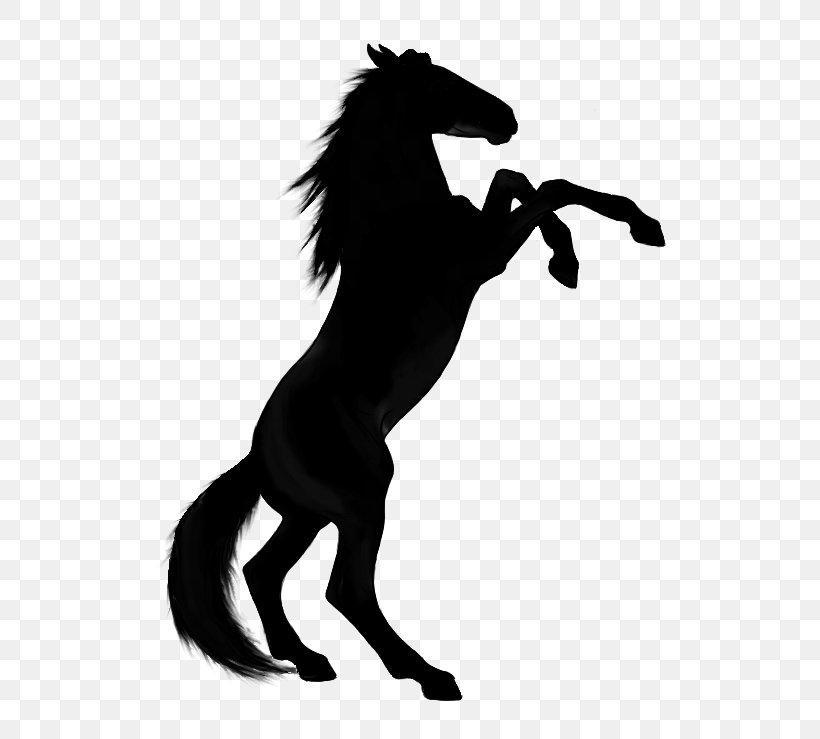 Rearing Horse Silhouette Vector