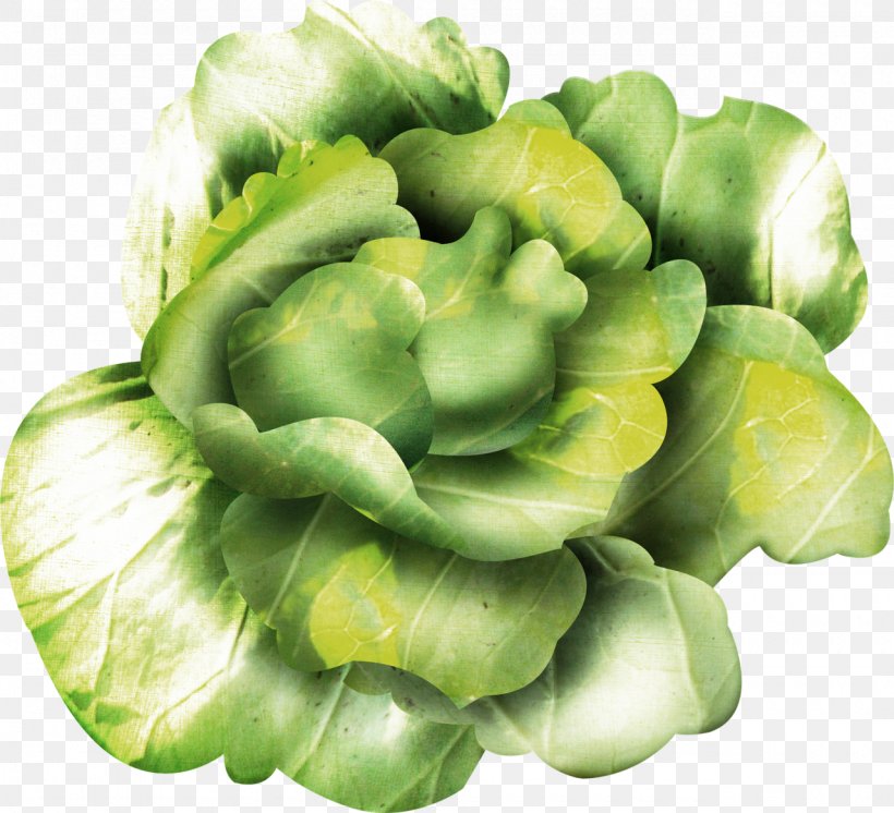Leaf Vegetable Cruciferous Vegetables Brassica Oleracea Spring Greens, PNG, 1280x1166px, Vegetable, Berry, Brassica Oleracea, Commodity, Cruciferous Vegetables Download Free