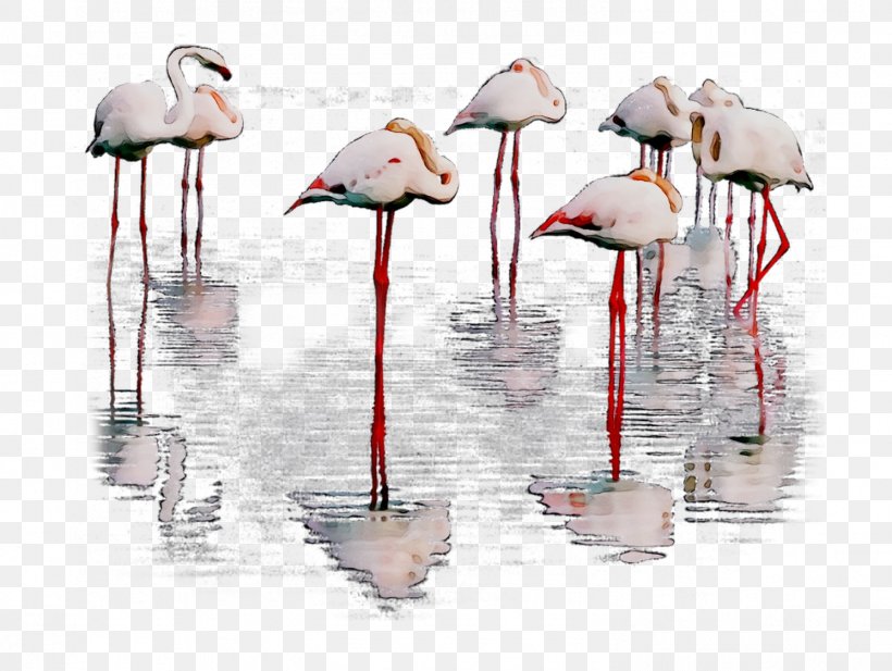 Product Design Beak, PNG, 1493x1124px, Beak, Bird, Flamingo, Greater Flamingo, Water Bird Download Free
