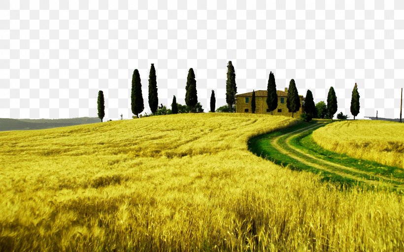 Tuscany Landscape Photography High-definition Television Wallpaper, PNG, 1920x1200px, 4k Resolution, Tuscany, Agriculture, Aspect Ratio, Commodity Download Free
