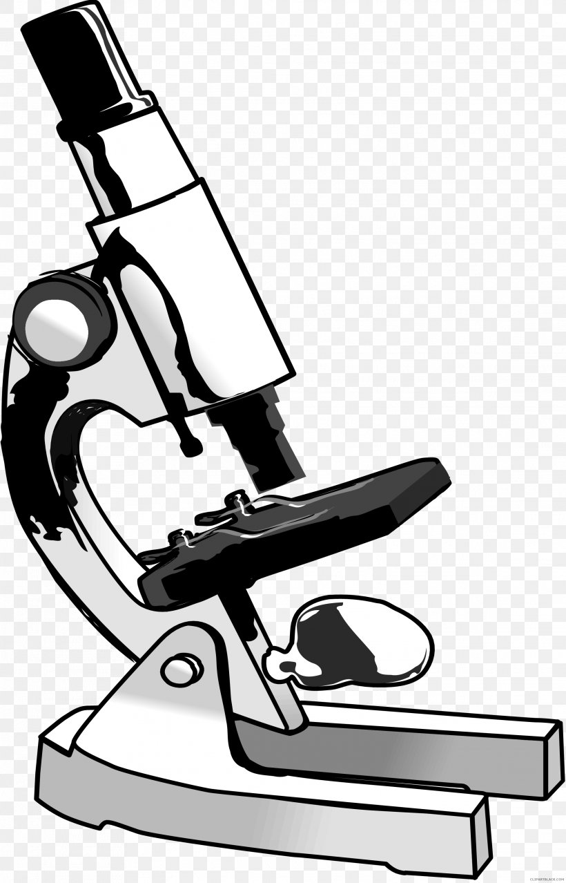 Clip Art Optical Microscope Vector Graphics Light, PNG, 2282x3559px, Optical Microscope, Biology, Black And White, Chair, Furniture Download Free